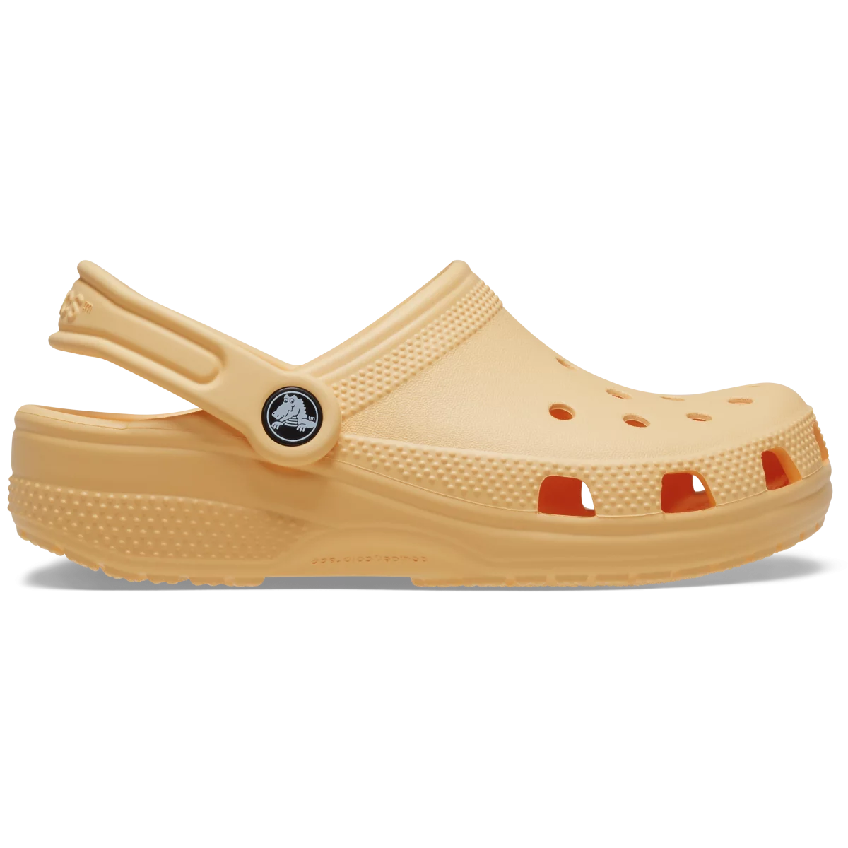 shoe img