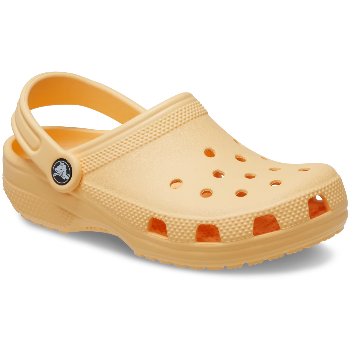 shoe img