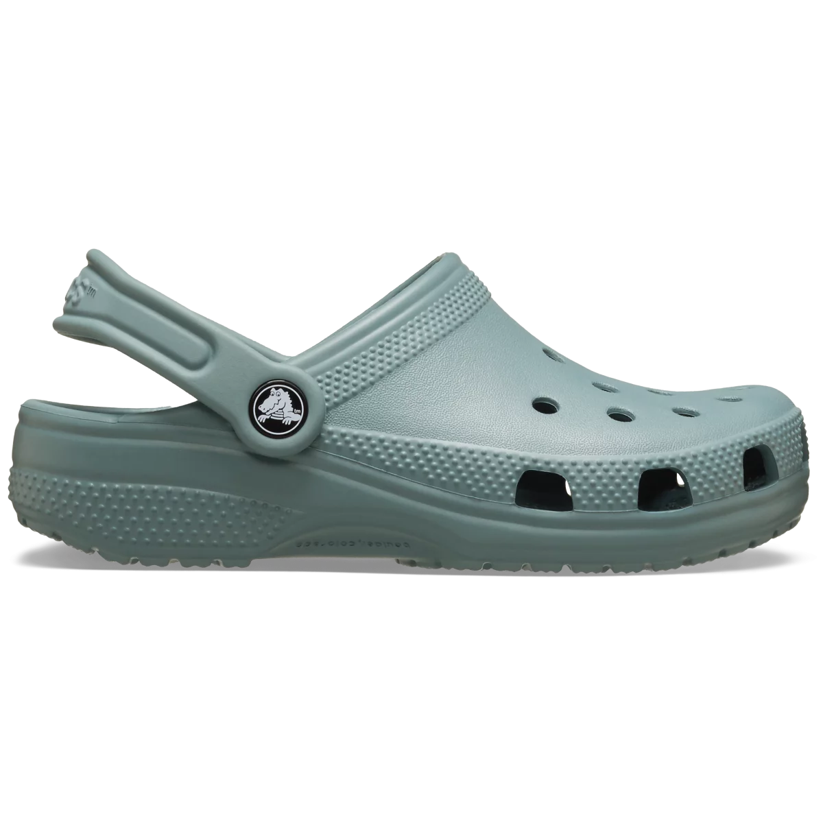 shoe img