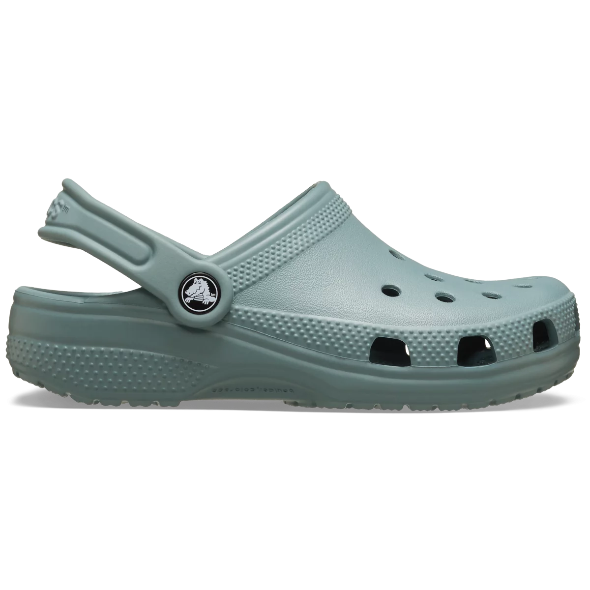shoe img