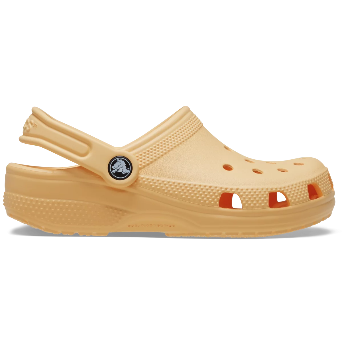 shoe img