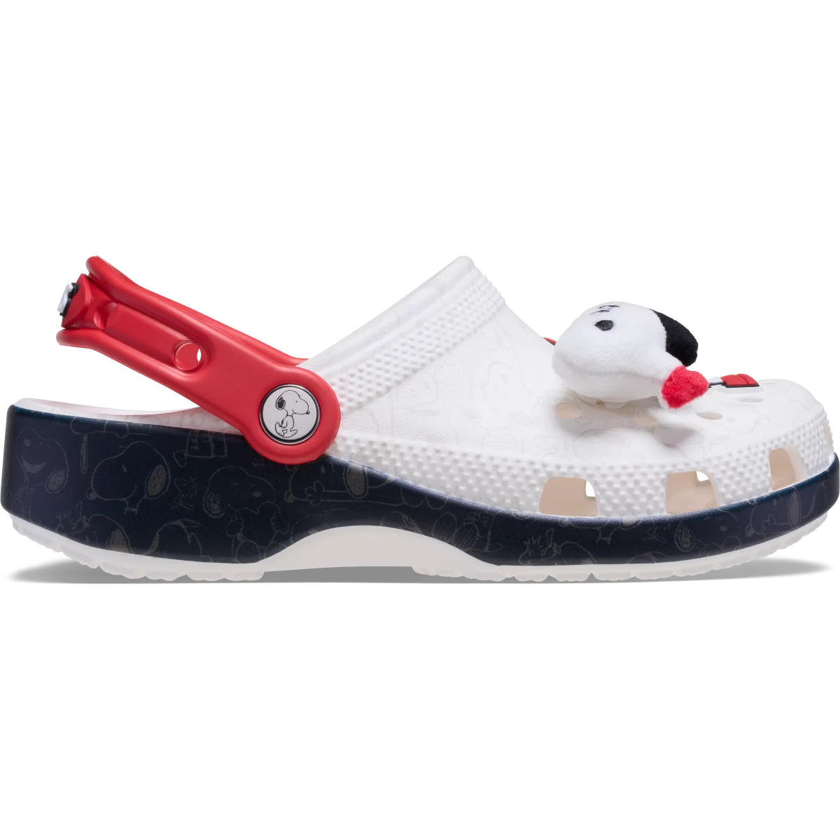 shoe img