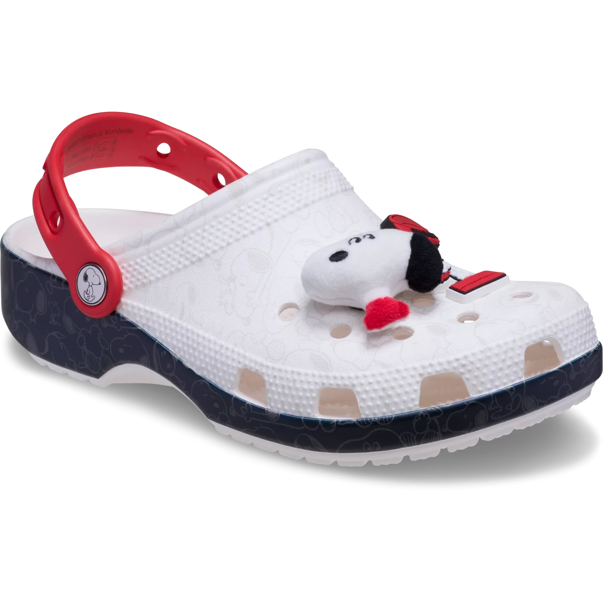shoe img