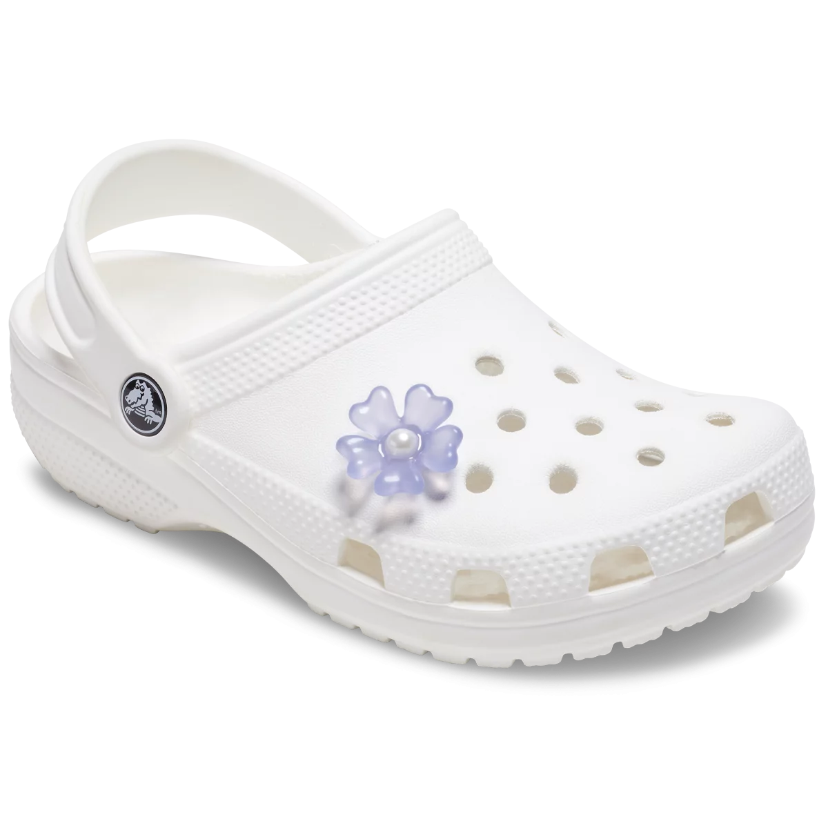 shoe img