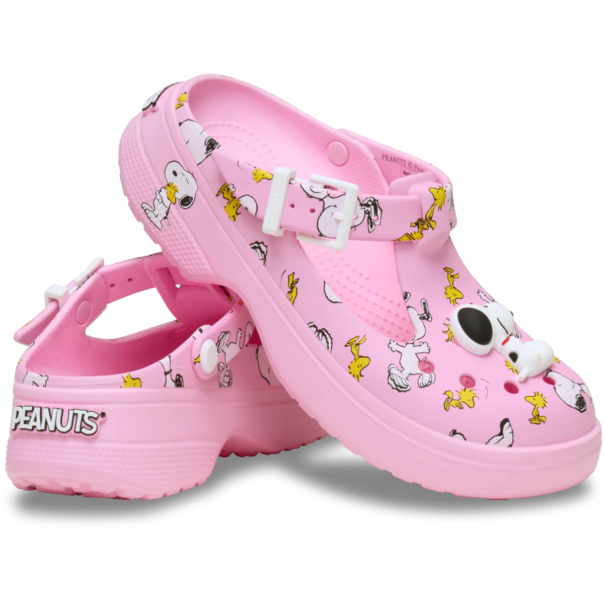 shoe img