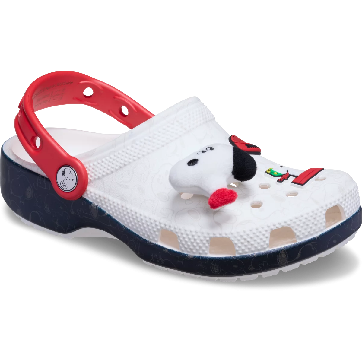 shoe img